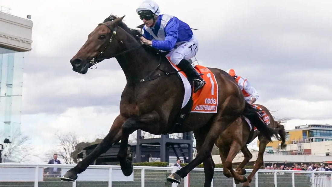 Alligator Blood recovering at the farm, showcasing his progress thanks to Tvati Pet treatment for a severe injury.