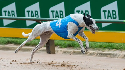 Azzopardi Hails TVATi for Brother Bearing’s Remarkable Racing Return