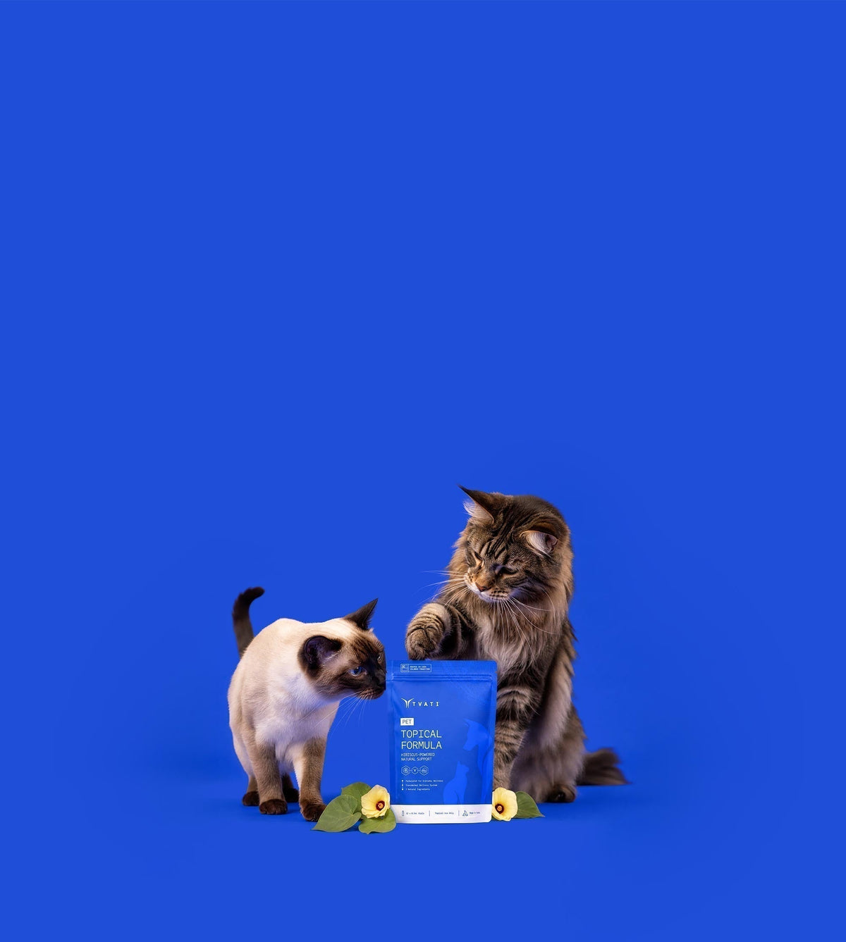 Cats hide joint pain. Supporting their mobility shouldn’t be this hard.