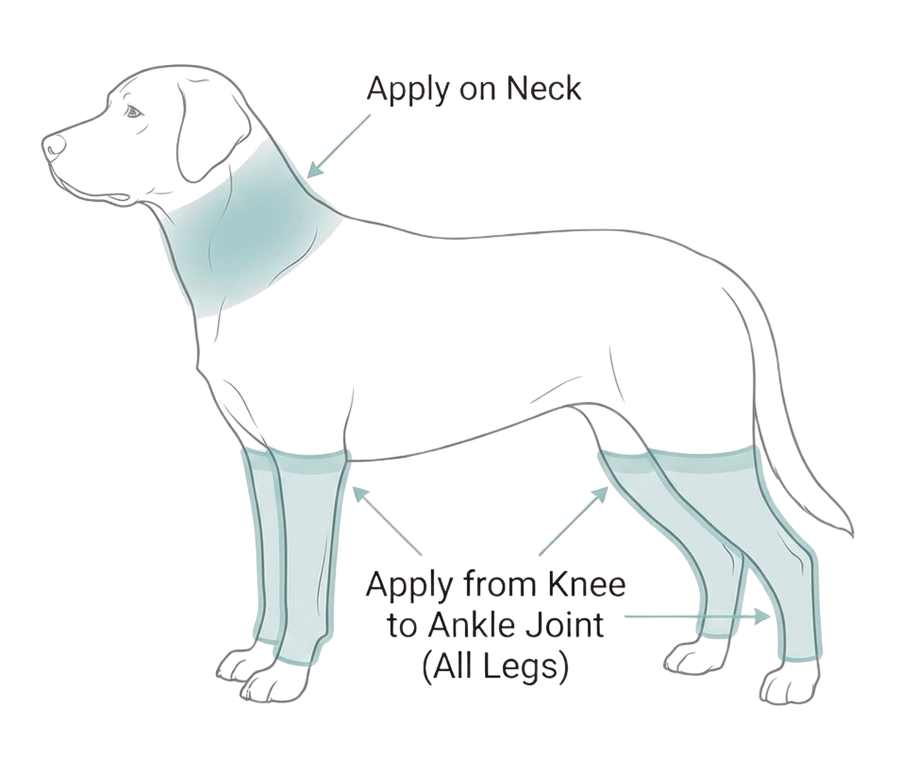 Which areas of the body and legs should the product be applied to?
