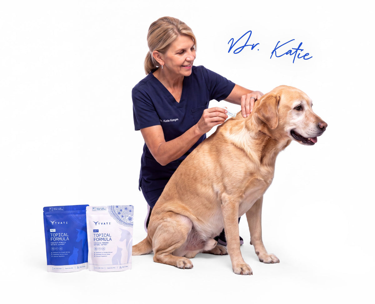 Veterinary professional with a dog and Tvati Vet