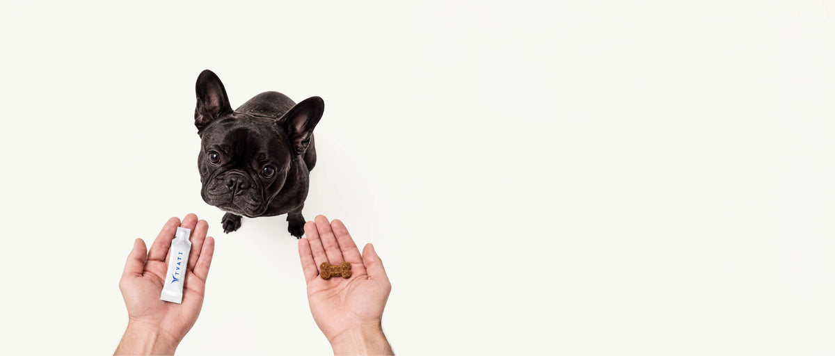 Tvati topical vials with pet