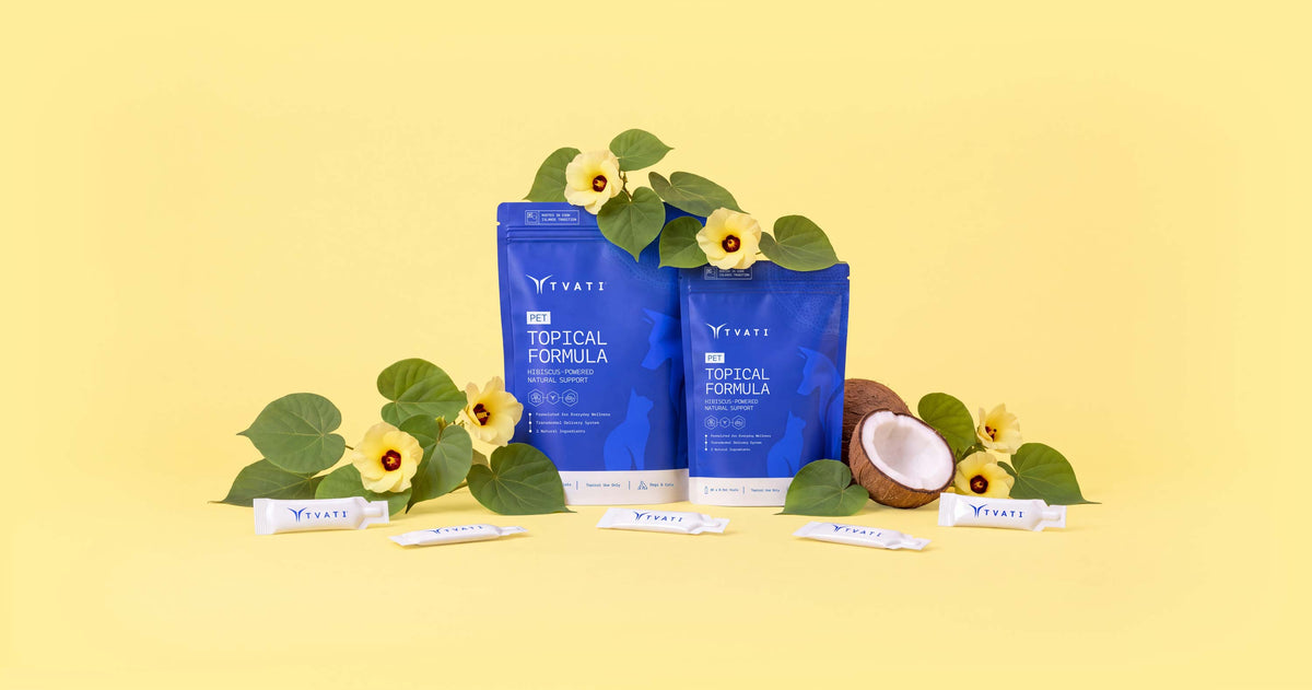 Tvati topical formula with hibiscus and coconut
