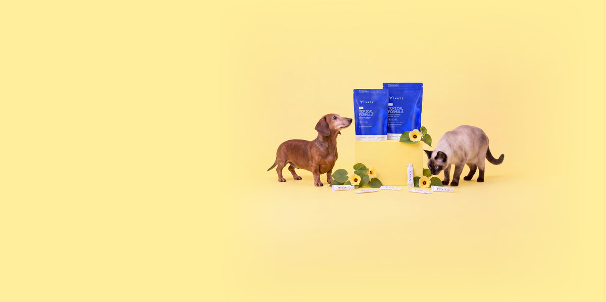 Tvati Pet formula with dogs, cat and natural ingredients