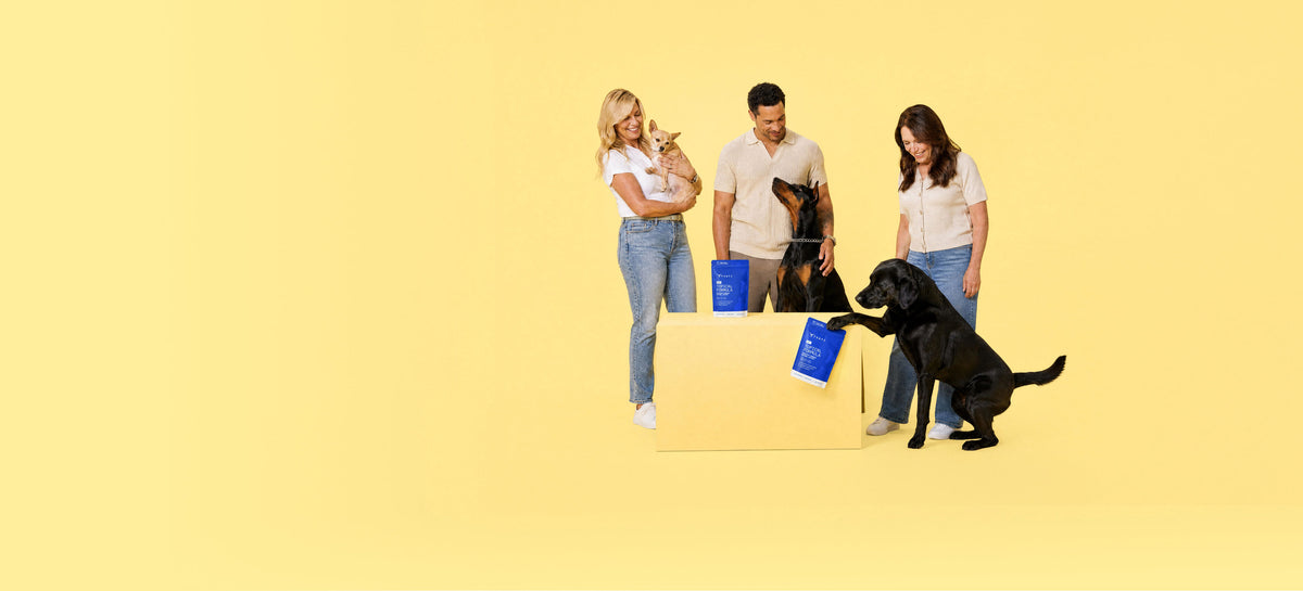 Tvati team with pets and products