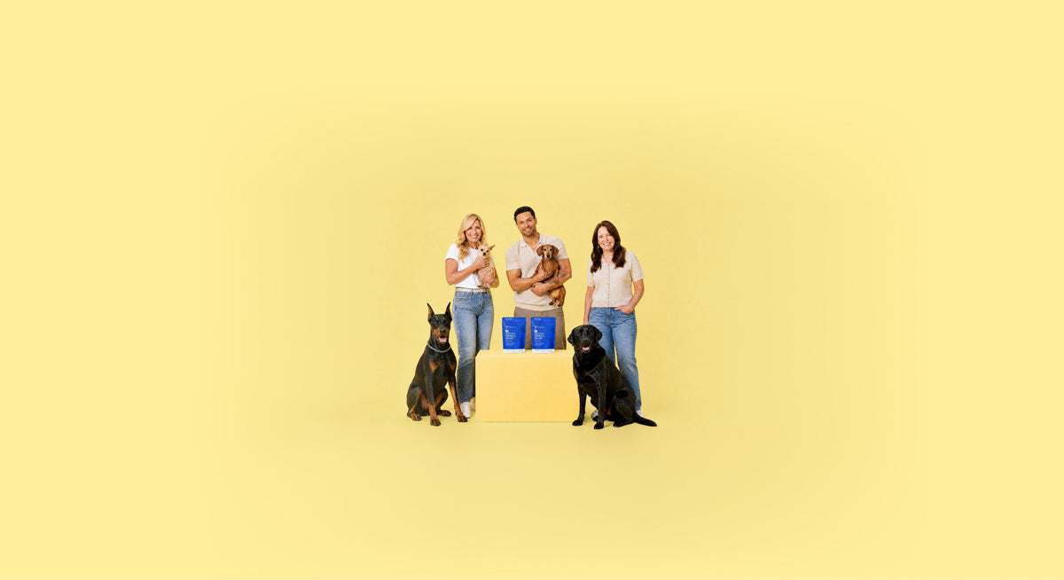 Tvati team with pets and products