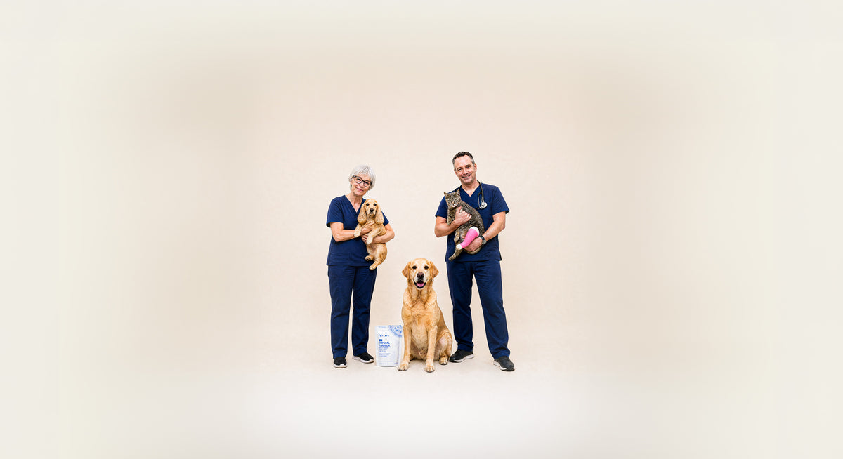 Tvati team with pets and products