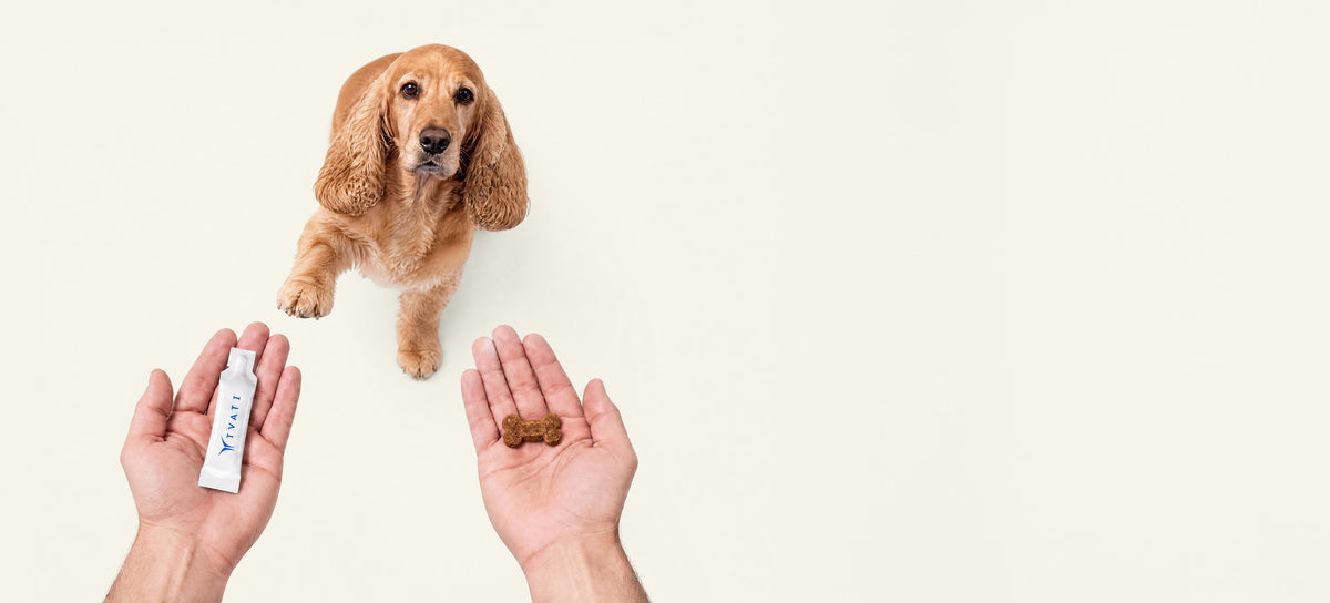 Tvati topical vials with pet