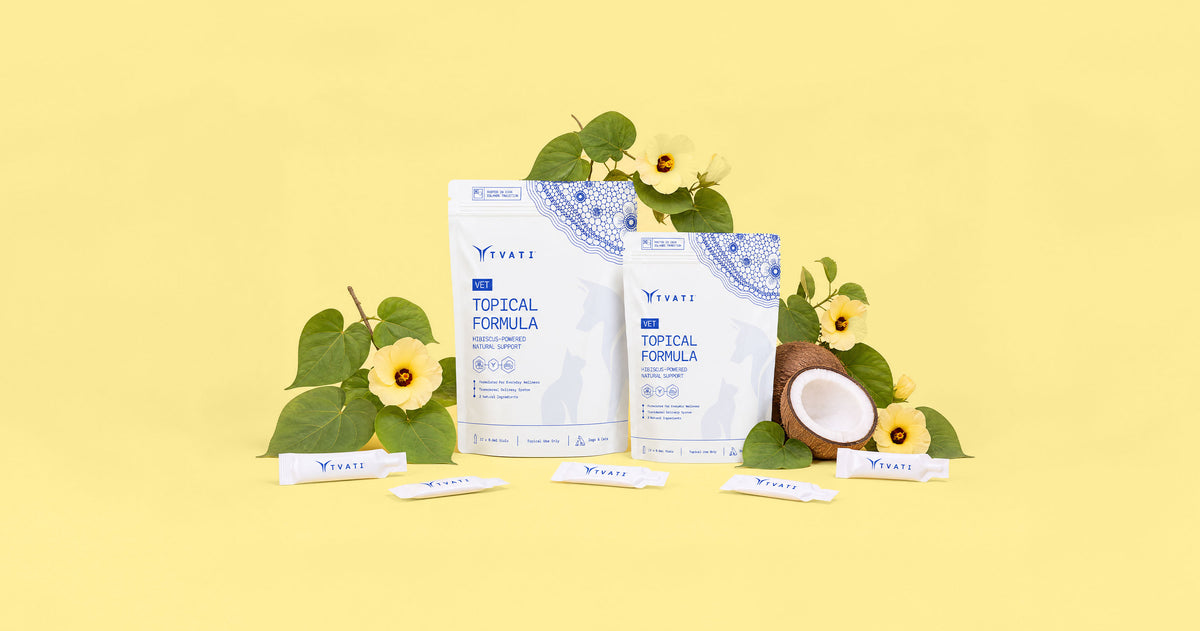 Tvati topical formula with hibiscus and coconut